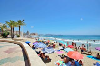 Frentemar C - holiday apartment in Calpe - 4