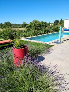 Les Papillons d'Uzès - Saint-Laurent-la-Vernède - 1