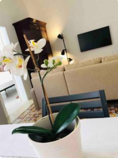 Stylish accommodation in Sliema Exiles - Sliema - 2