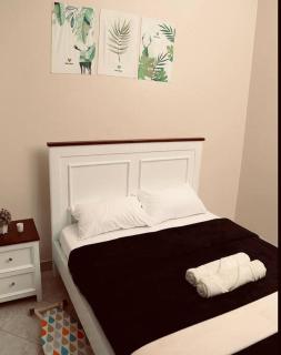 All Seasons Apartments Ug - 9