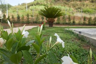 Galaxy Rooms Tropea - Drapia - 4