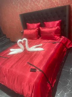 Désirs dune nuit - La séductrice - 2