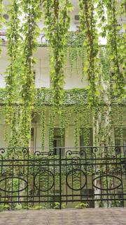 Beautiful newly refurbished studio,fully equipped apartment walking distance to the City Park where you will find the world famous Szechenyi thermal bath spa, Museums , and the Capital Circus , AC, smart TV, high speed internet - Budapest - 3