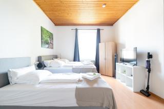 Well-Equipped and Business-Friendly Apartment Near University for Up to 3 Guests - Leoben - 9