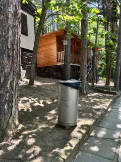 к-г Луна к-с Лонгоза комплекс Лонгоза - 3