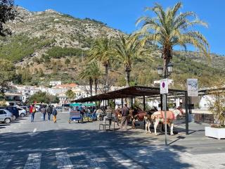 HigueronRentals Sea Breeze - Fuengirola - 4