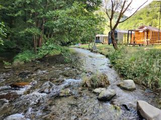 Transfăgărășan River Retreat - Arefu - 0