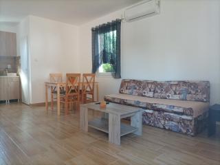 Kuca LARA 2 Banja Vrujci - 5