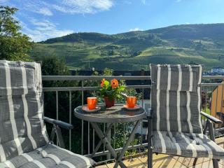 Mosel Fewo43 - Zell an der Mosel - 0