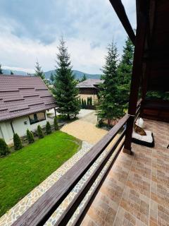 Ollie's Mountain Chalet - Buşteni - 8