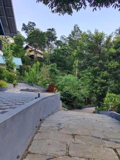 Coffee Green cottage - Madikeri - 9