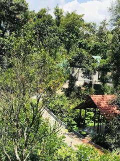 Coffee Green cottage - Madikeri - 1