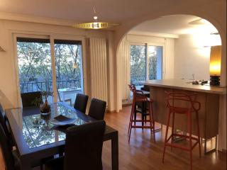 Appartement avec vue sur le parc de la tête d'or - Lione - 8