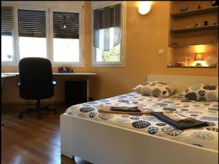 Appartement avec vue sur le parc de la tête d'or - Lione - 7