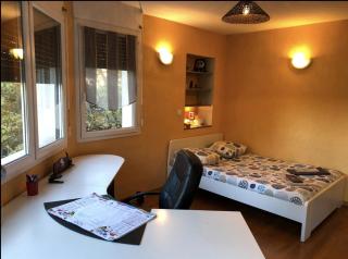 Appartement avec vue sur le parc de la tête d'or - Lione - 6