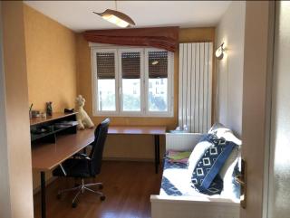 Appartement avec vue sur le parc de la tête d'or - Lione - 2