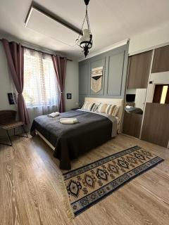 FLH - Blue Cat - Sibiu - 5