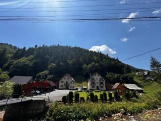 Pensiunea Emanuel - Gârda de Sus - 0