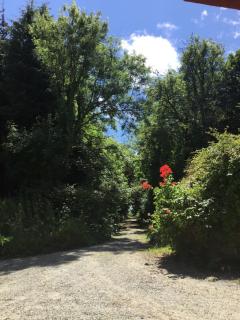 Alderlane cottage - 7