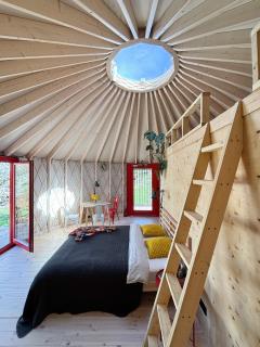 Blizberg 77 - Góry Izerskie - 7