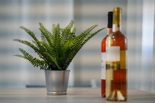 Feel Greek Hospitality #Θ007 - Salonicco - 1