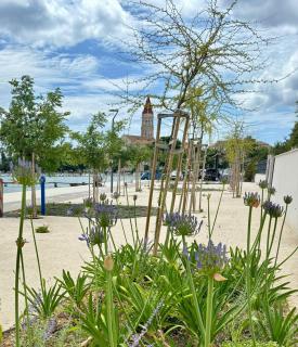 Lokvice - Trogir - 1