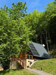 Trest Forest - Petrovac na Mlavi - 3