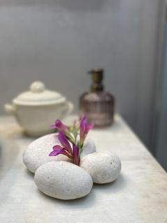 Stone House In Katouna With Garden - Katouna - 3