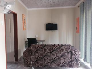 BelaBela Guesthouse - Bela-Bela - 5