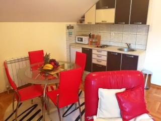 Apartman Jovana - Zlatibor - 8