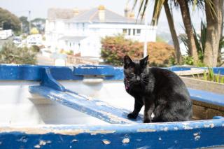 B’s Place Guest House - 2