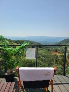 Kopaonik Milmari & Spa N Lux 90 - 2