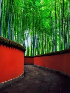 成都云漫松间民宿 - Chengdu - 4