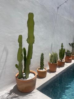 In House Facinas - 5