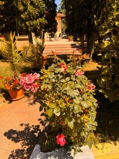 MOTEL INTERNATIONAL - 4