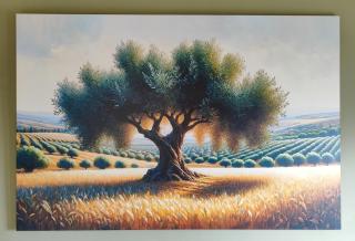 The Olive House - Dhíkella - 7