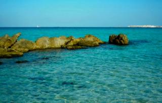 Casa Cerasoli Gallipoli - Gallipoli - 0