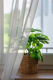 Słoneczny i Przestronny Apartament w Sercu Szczecina by Noclegi Renters - Stettino - 1