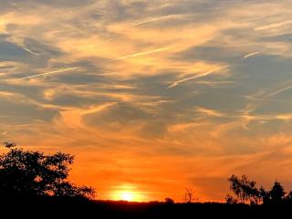 Freistehender Bungalow in Marktbreit in Traumlage mit großem Garten - 5