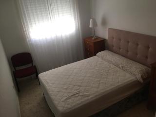 Palmeras II Gandia - 3