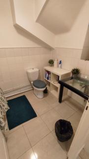 Studio sur jardin - Villejuif - 3
