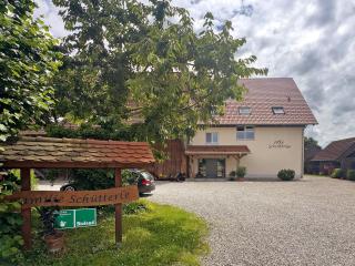 Waldruhe Hof Schütterle - Friedrichshafen - 9