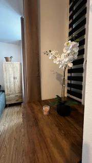 Très joli STUDIO en plein cœur d'ANGOULEME - Angulema - 8