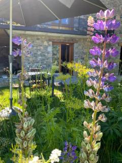 LE LODGE, Pyrénées 2000 - Jardin, très calme, espace rangement - Bolquère-Pyrénées 2000 - 0