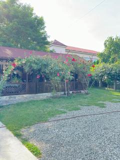 Pensiunea Cassandra - Târgu Neamț - 1