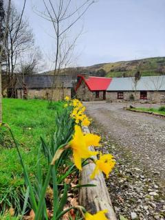 Caitríona's Cottages - Adult Only Pet Friendly - Hot Tub, Sauna, Pool - Sleeps 4 - Rossinver - 5