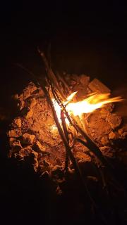 אוהל בוסתן הזיתים - 3