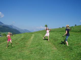 Hinterreith-Hof - Hochfilzen - 3