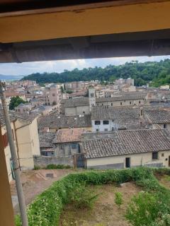 Sebastiano - Colle di Val d'Elsa - 3