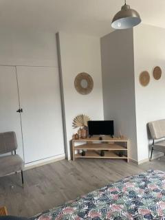 Le Studio - Vendeuvre-sur-Barse - 4